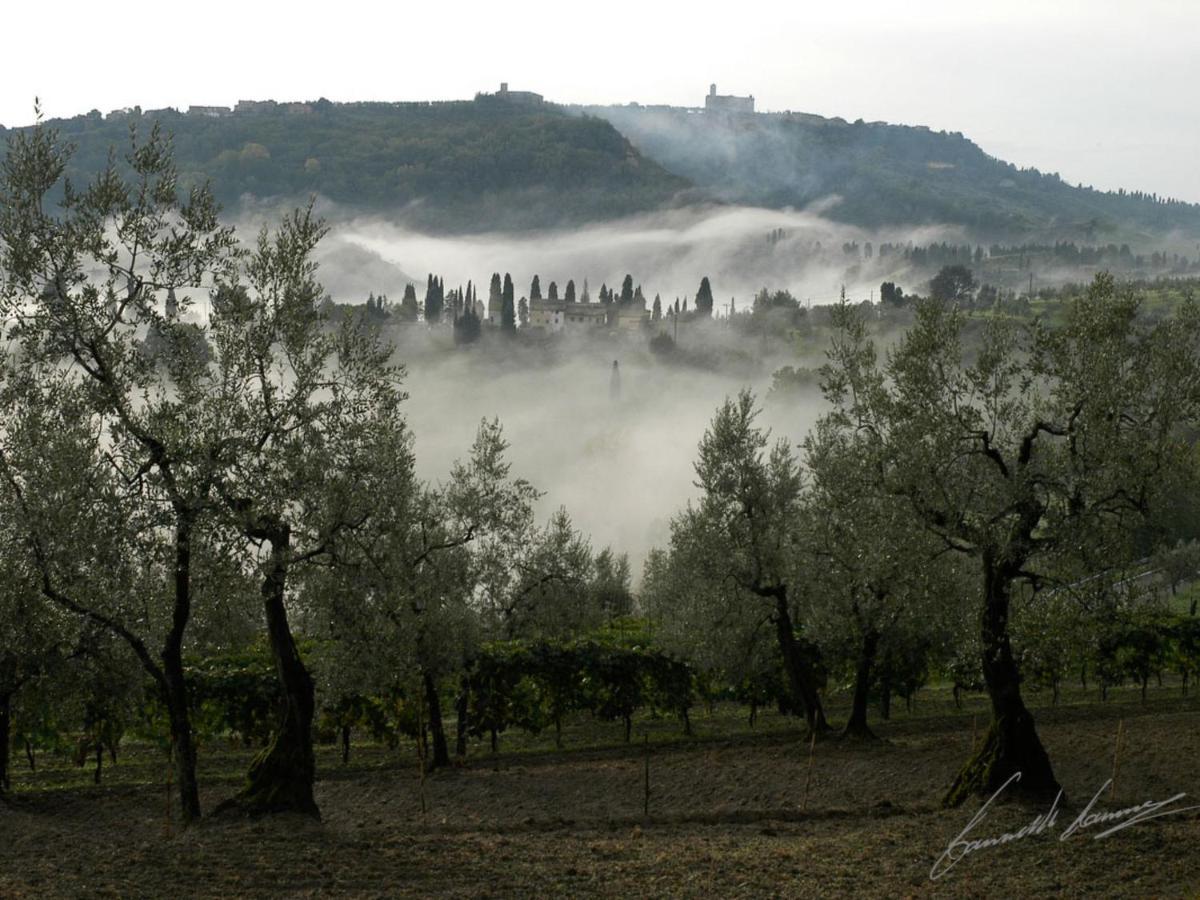 Holiday Home Podere Santa Lucia By Interhome Volterra Exterior foto